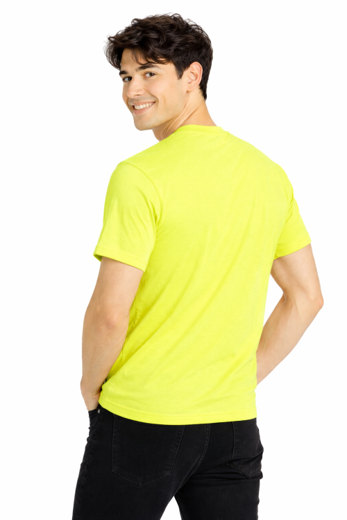 T-shirt męski z krótkim rękawem gramatura 190g cytrynowy widok z tyłu.png